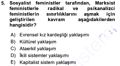 Toplumsal Cinsiyet Sosyolojisi 2015-2016 Ara Sınav - 5. soru