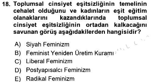 Toplumsal Cinsiyet Sosyolojisi 2017-2018 Ara Sınav - 18. soru