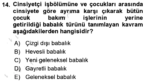 Toplumsal Cinsiyet Sosyolojisi 2023-2024 Ara Sınav - 14. soru