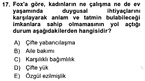 Toplumsal Cinsiyet Sosyolojisi 2024-2025 Ara Sınav - 17. soru
