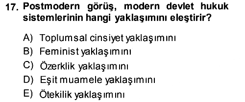 Toplumsal Cinsiyet Sosyolojisi 2013-2014 Dönem Sonu Sınavı - 17. soru