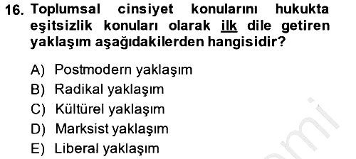 Toplumsal Cinsiyet Sosyolojisi 2014-2015 Dönem Sonu Sınavı - 16. soru