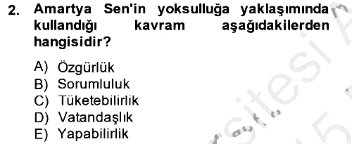 Toplumsal Tabakalaşma ve Eşitsizlik 2014-2015 Dönem Sonu Sınavı - 2. soru