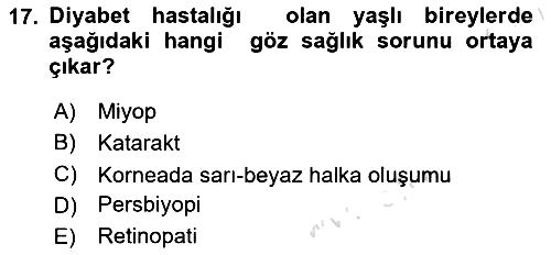 Yaşlılarla Sosyal Hizmet 2023-2024 Ara Sınav - 17. soru