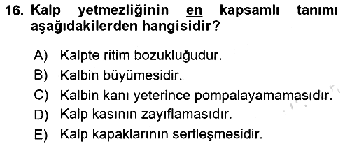 Yaşlılarla Sosyal Hizmet 2024-2025 Ara Sınav - 16. soru