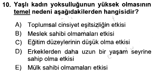 Yaşlılarla Sosyal Hizmet 2023-2024 Dönem Sonu Sınavı - 10. soru