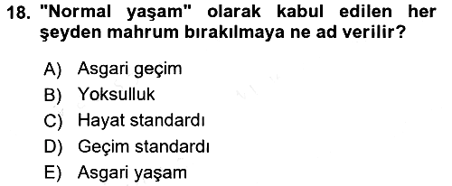 Sosyal Hizmete Giriş 2017-2018 3 Ders Sınavı - 18. soru