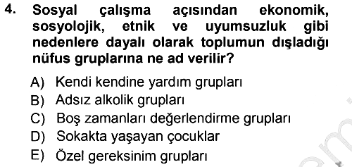 Sosyal Hizmete Giriş 2012-2013 Ara Sınav - 4. soru