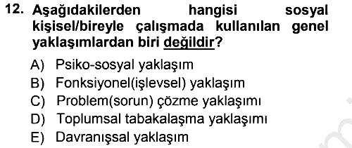Sosyal Hizmete Giriş 2012-2013 Ara Sınav - 12. soru