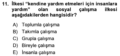 Sosyal Hizmete Giriş 2015-2016 Ara Sınav - 11. soru