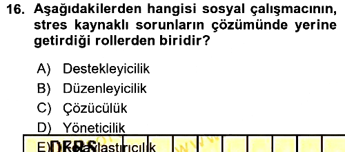 Sosyal Hizmete Giriş 2015-2016 Ara Sınav - 16. soru