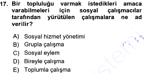 Sosyal Hizmete Giriş 2015-2016 Ara Sınav - 17. soru