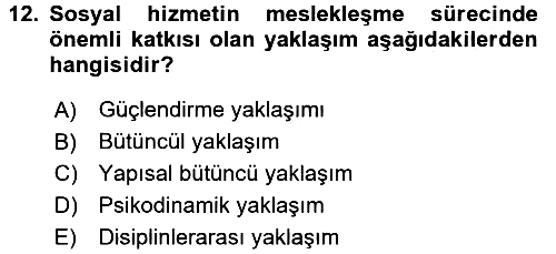 Sosyal Hizmete Giriş 2016-2017 Ara Sınav - 12. soru