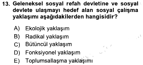 Sosyal Hizmete Giriş 2016-2017 Ara Sınav - 13. soru