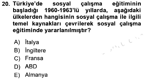 Sosyal Hizmete Giriş 2017-2018 Ara Sınav - 20. soru