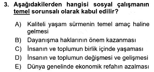 Sosyal Hizmete Giriş 2018-2019 Ara Sınav - 3. soru