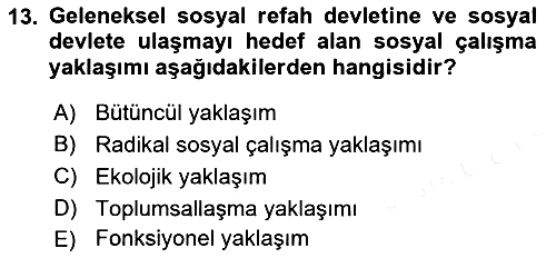 Sosyal Hizmete Giriş 2018-2019 Ara Sınav - 13. soru