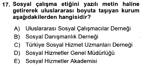 Sosyal Hizmete Giriş 2019-2020 Ara Sınav - 17. soru