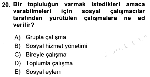 Sosyal Hizmete Giriş 2019-2020 Ara Sınav - 20. soru