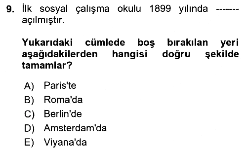 Sosyal Hizmete Giriş 2024-2025 Ara Sınav - 9. soru