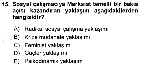 Sosyal Hizmete Giriş 2025-2026 Ara Sınav - 15. soru