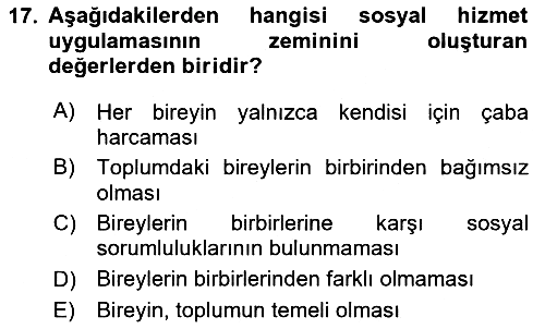 Sosyal Hizmete Giriş 2025-2026 Ara Sınav - 17. soru