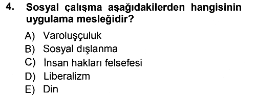 Sosyal Hizmete Giriş 2012-2013 Dönem Sonu Sınavı - 4. soru