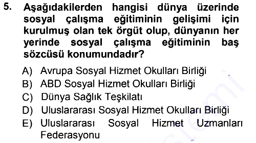 Sosyal Hizmete Giriş 2012-2013 Dönem Sonu Sınavı - 5. soru