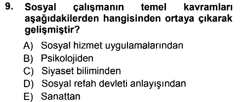 Sosyal Hizmete Giriş 2012-2013 Dönem Sonu Sınavı - 9. soru