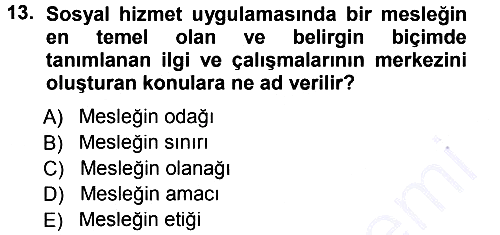 Sosyal Hizmete Giriş 2012-2013 Dönem Sonu Sınavı - 13. soru