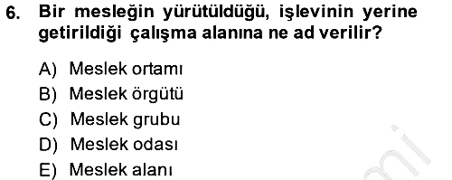 Sosyal Hizmete Giriş 2014-2015 Dönem Sonu Sınavı - 6. soru
