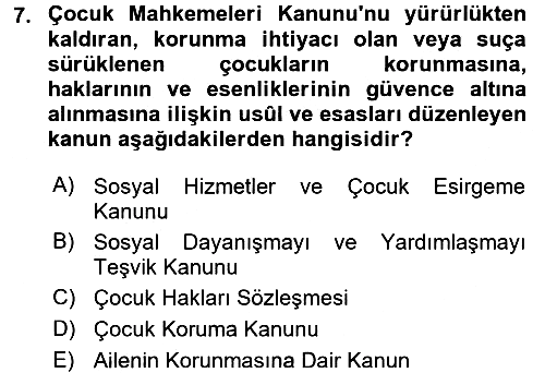 Sosyal Hizmete Giriş 2017-2018 Dönem Sonu Sınavı - 7. soru