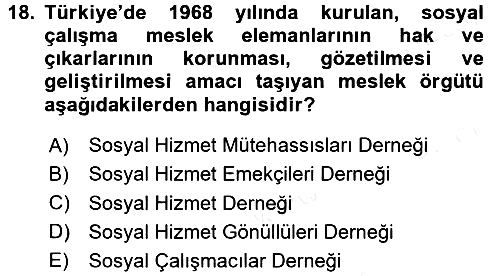 Sosyal Hizmete Giriş 2017-2018 Dönem Sonu Sınavı - 18. soru