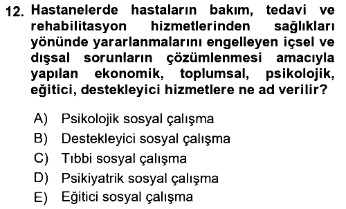 Sosyal Hizmete Giriş 2018-2019 Dönem Sonu Sınavı - 12. soru