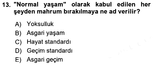 Sosyal Hizmete Giriş 2018-2019 Dönem Sonu Sınavı - 13. soru