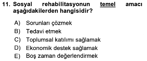 Sosyal Hizmete Giriş 2019-2020 Dönem Sonu Sınavı - 11. soru