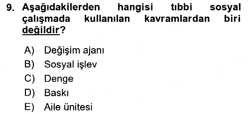 Sosyal Hizmete Giriş 2021-2022 Dönem Sonu Sınavı - 9. soru