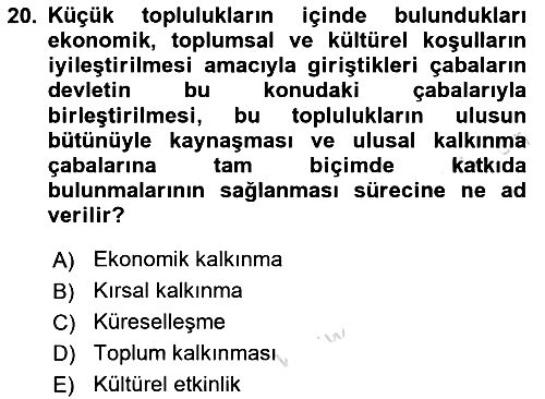 Sosyal Hizmete Giriş 2024-2025 Dönem Sonu Sınavı - 20. soru