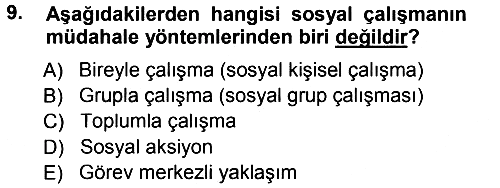Sosyal Hizmete Giriş 2013-2014 Tek Ders Sınavı - 9. soru