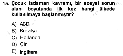 Sosyal Hizmete Giriş 2013-2014 Tek Ders Sınavı - 15. soru