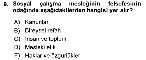 Sosyal Hizmete Giriş 2015-2016 Tek Ders Sınavı - 9. soru