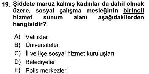 Sosyal Hizmete Giriş 2015-2016 Tek Ders Sınavı - 19. soru