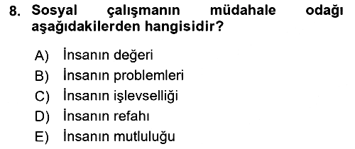 Sosyal Hizmete Giriş 2021-2022 Yaz Okulu Sınavı - 8. soru