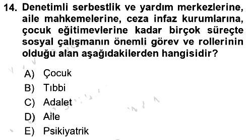 Sosyal Hizmete Giriş 2021-2022 Yaz Okulu Sınavı - 14. soru