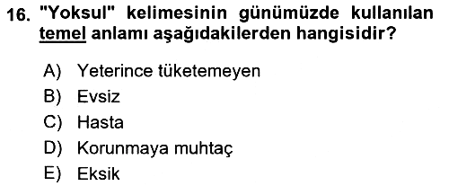 Sosyal Hizmete Giriş 2021-2022 Yaz Okulu Sınavı - 16. soru