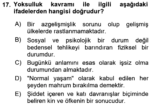 Sosyal Hizmete Giriş 2022-2023 Yaz Okulu Sınavı - 17. soru