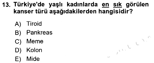 Yaşlı ve Hasta Bakım Hizmetleri 2021-2022 Yaz Okulu Sınavı - 13. soru