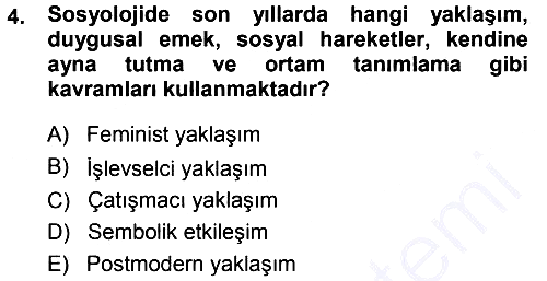 Aile Sosyolojisi 2014-2015 Ara Sınav - 4. soru