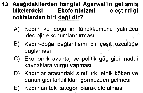 Aile Sosyolojisi 2016-2017 Ara Sınav - 13. soru