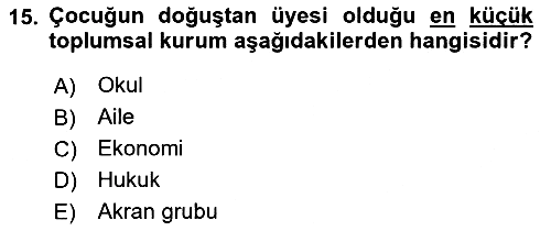 Aile Sosyolojisi 2018-2019 Ara Sınav - 15. soru